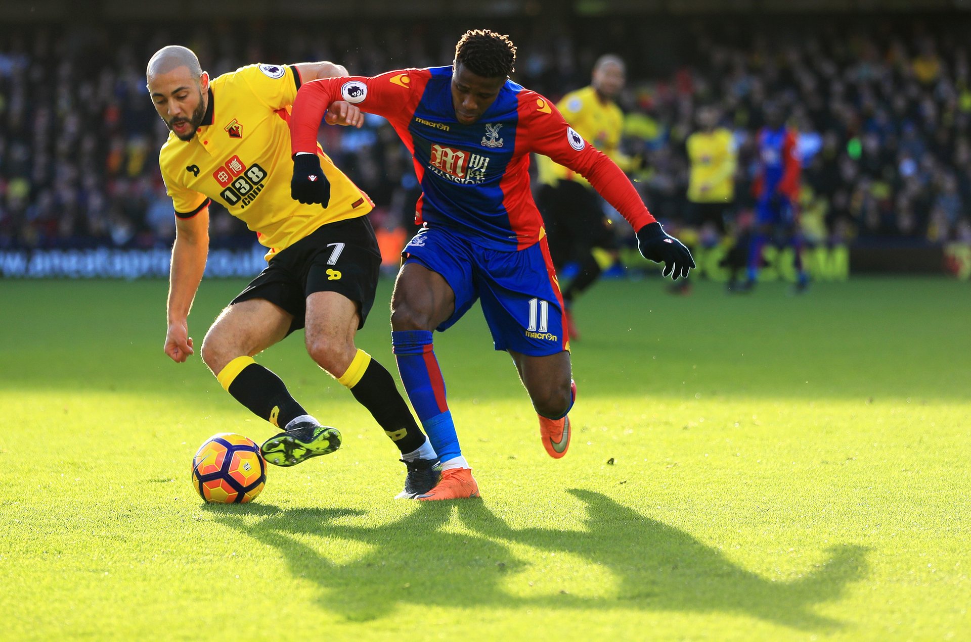 有统计显示 有统计显示